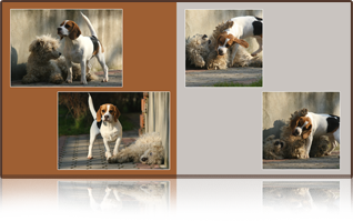fotokonyv-minta-8 fotokonyv-minta-8